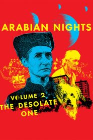 Arabian Nights: Volume 2, The Desolate One