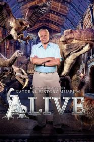 Natural History Museum Alive