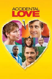 Accidental Love
