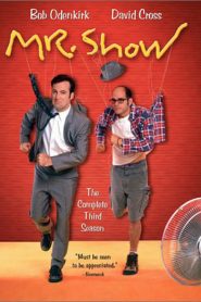 Mr. Show with Bob and David: فصل 3