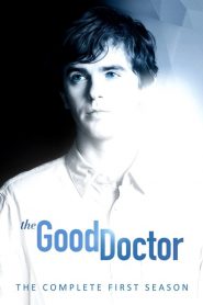 The Good Doctor: فصل 1