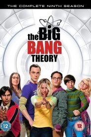 The Big Bang Theory: فصل 9