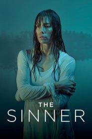 The Sinner: فصل 1