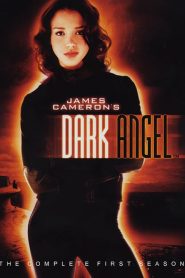 Dark Angel: فصل 1