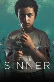 The Sinner: فصل 2