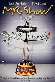 Mr. Show with Bob and David: فصل 2