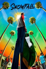 Snowfall: فصل 1