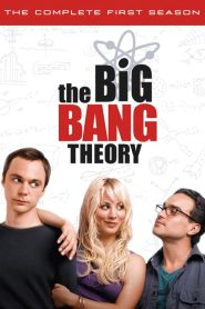 The Big Bang Theory: فصل 1