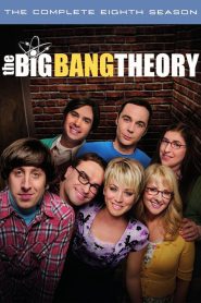 The Big Bang Theory: فصل 8