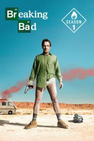 Breaking Bad: فصل 1