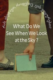What Do We See When We Look at the Sky?
