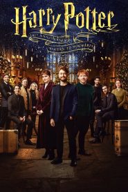 Harry Potter 20th Anniversary