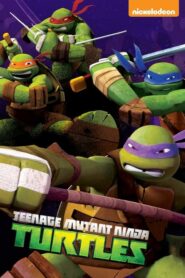 Teenage Mutant Ninja Turtles