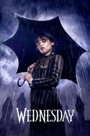 Wednesday: فصل 1