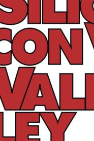 Silicon Valley: فصل 6